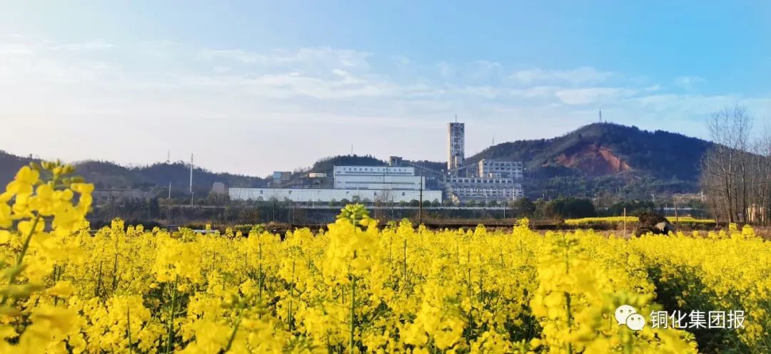 首页- 南宫NG28国际集团官方网站