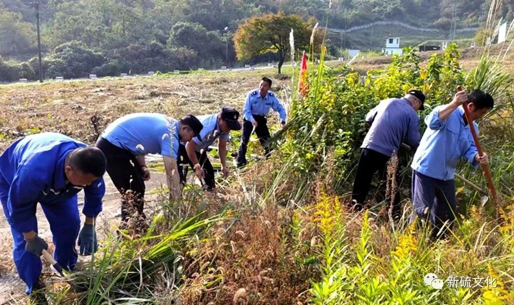 首页- 南宫NG28国际集团官方网站