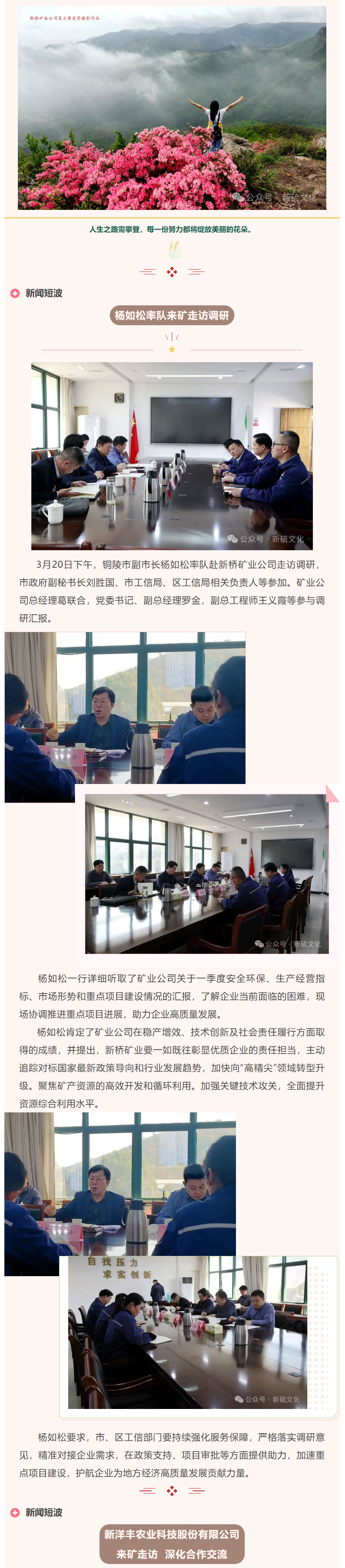 首页- 南宫NG28国际集团官方网站