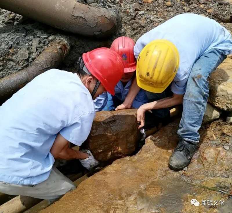 首页- 南宫NG28国际集团官方网站